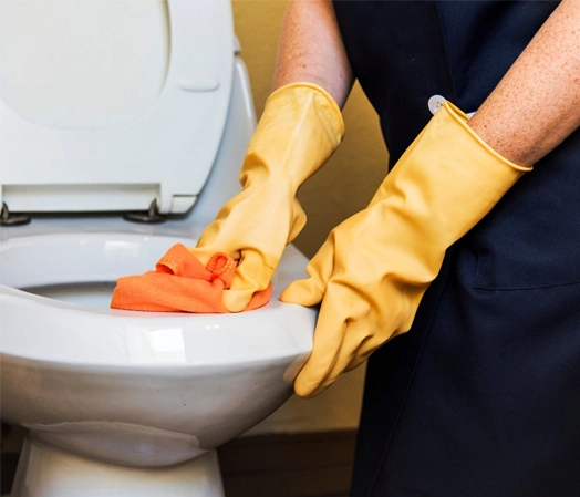 Intense Bathroom Cleaning